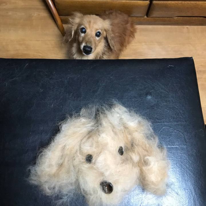 Ac7cb9fd 853f 49a6 89c3 3094c05b223e 1593606081124