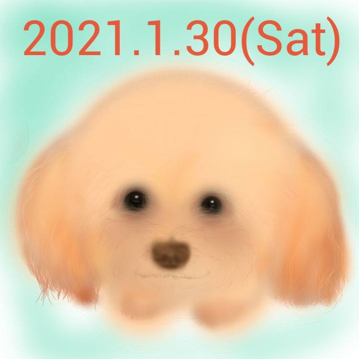 Ac7cba61 868d 4967 9516 5fd95ad9cd3d 1612012926135