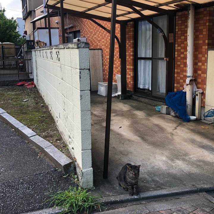 Ac7cdba8 9e13 41ba bed9 d6d6950e5fcd 1564850509830