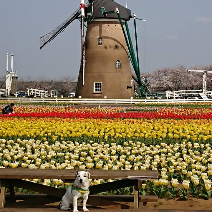 Ac7d10ec fe08 4c10 a27e dc6163ea31a8 1522585515513