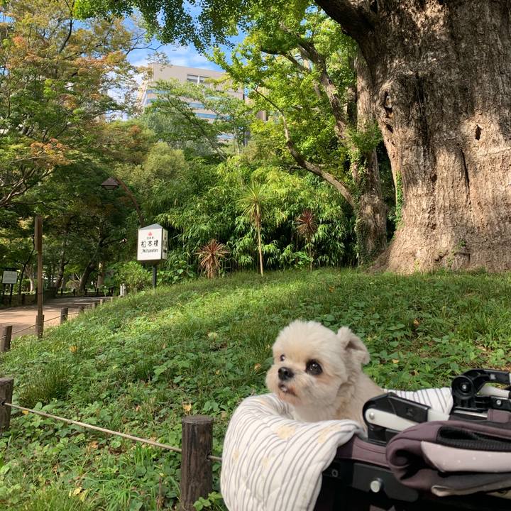 Ac7d3d2f 1e81 4cb3 ab09 c38bfb2e4299 1761729220384