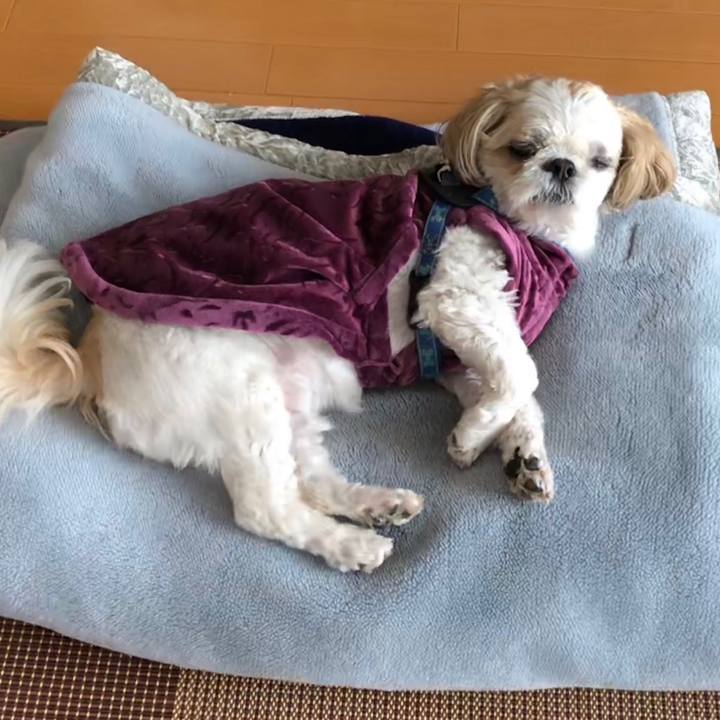 Ac7d4f3c 93a4 40b2 841f 6fbd6908971d 1529530804391