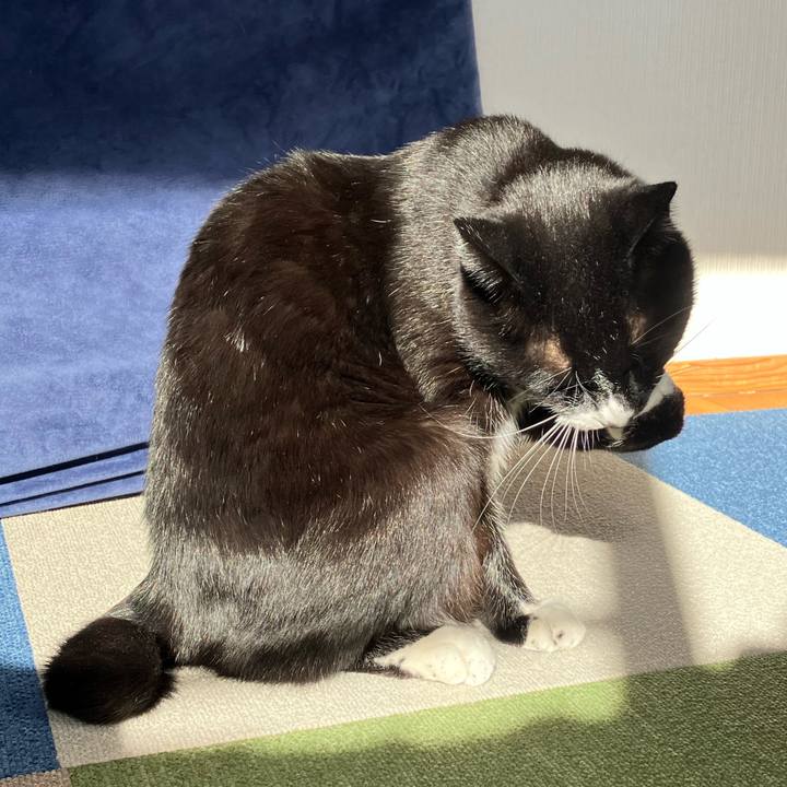 Ac7dbb7b e169 4859 852a 540f87569bef 1677555349727