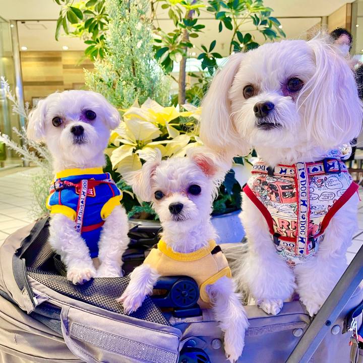 Ac7dcd10 242e 4030 9691 1d53398201a5 1636953208714