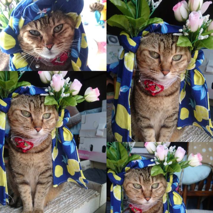 Ac7deab3 88f1 47eb 9c34 487fce81ffa9 1760392230954