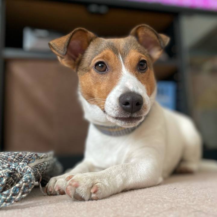 Ac7e31ac 8994 4ee2 9232 2ca41893cf3c 1675580928028