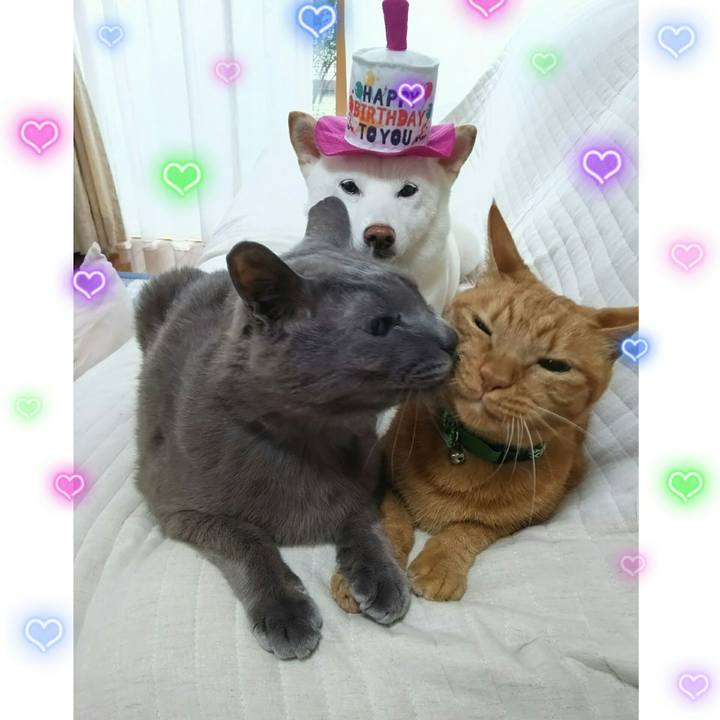 Ac7e3681 3773 4762 a836 0649ab1d036a 1595205804983