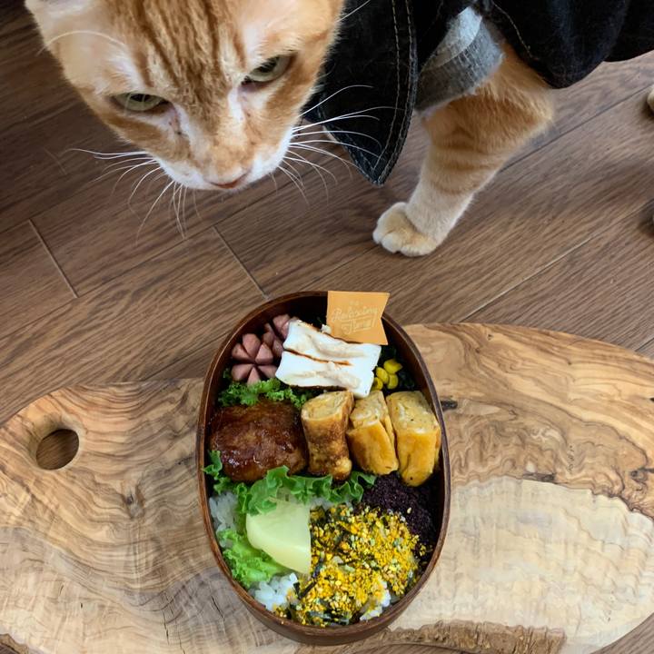 Ac7e5086 2850 49e3 af9d f22384549119 1653601546670