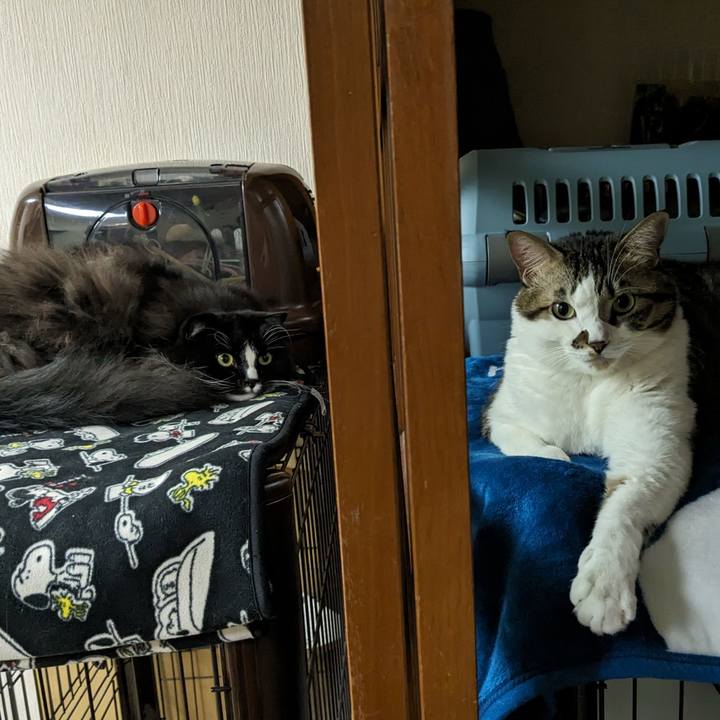 Ac7e8f04 8d55 4b8e 92cd 1647407954e5 1702298519566