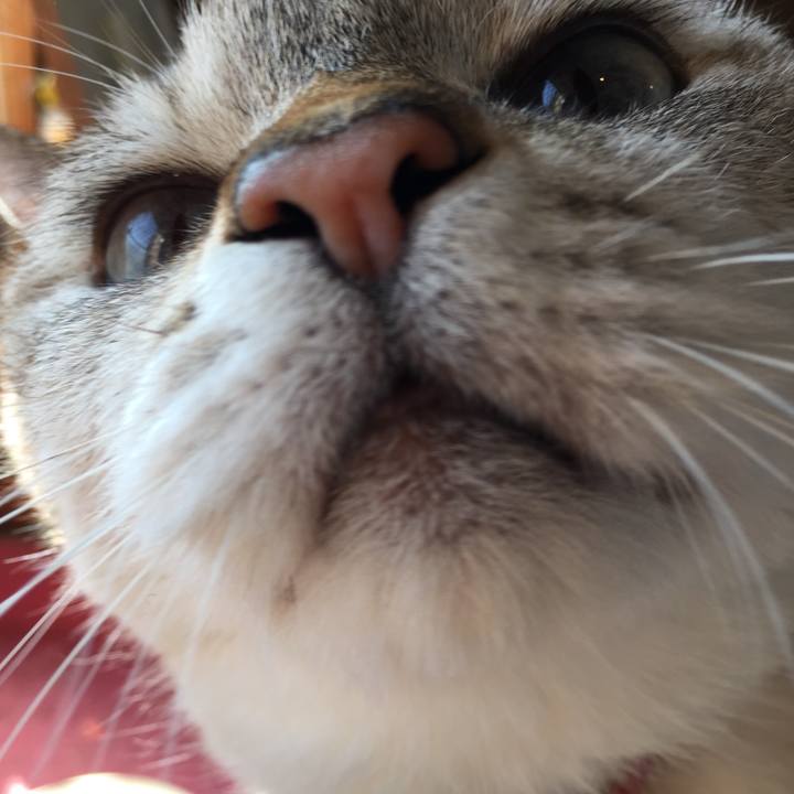 Ac7ea230 0781 483d 9447 b451d97f562f 1572499985980