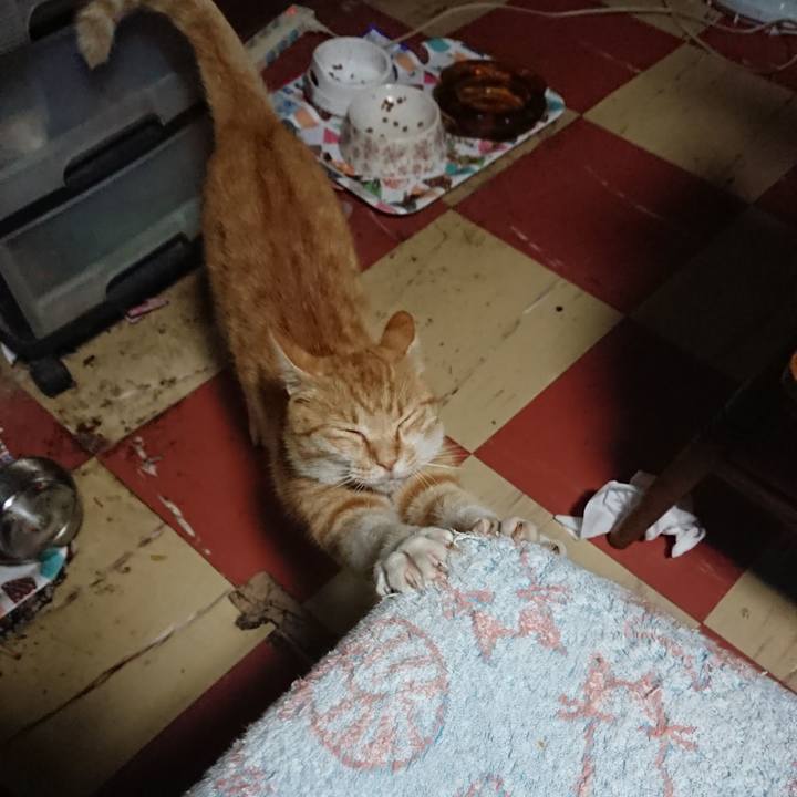 Ac7ecd9a f6a1 483c b643 2746971d1074 1593545119485