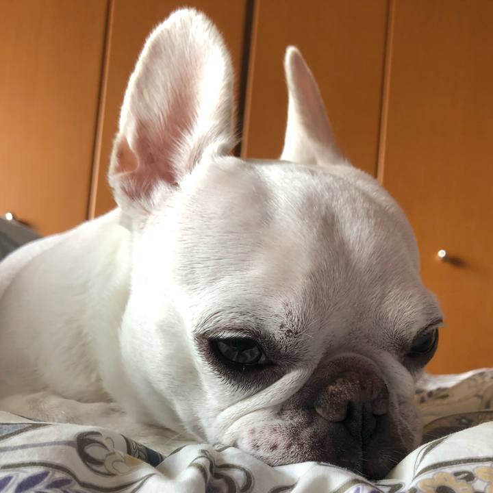 Ac7ed0f3 f1bf 4464 b7f3 dda35b3a2d6c 1663737311793