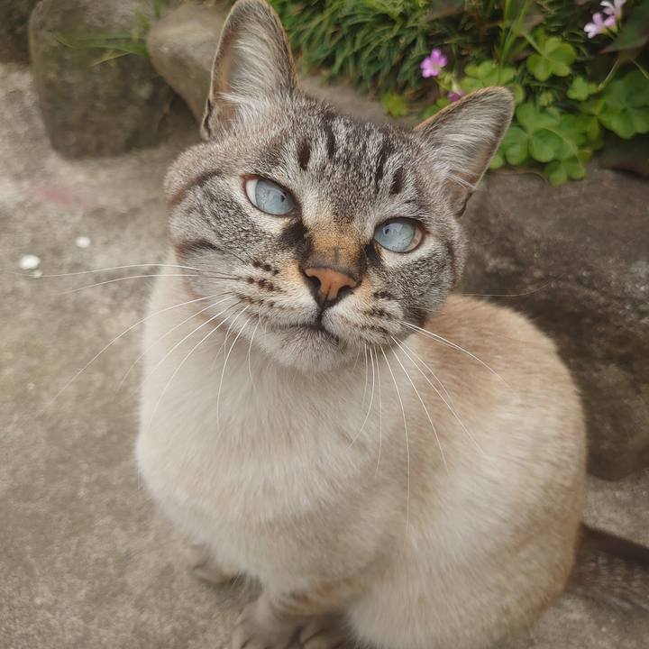 Ac7efb15 a330 4e99 9da2 667127fb98f1 1620098280688