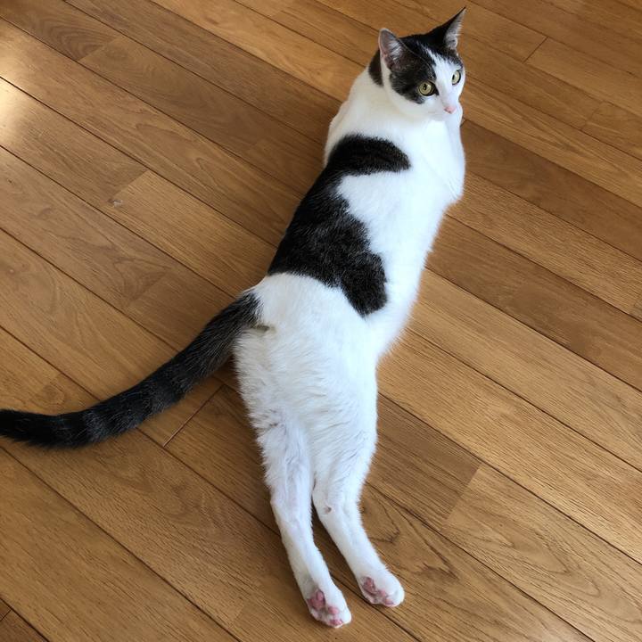 Ac7f0fda 2f5b 4640 b1c4 084bf238b27a 1596545506934