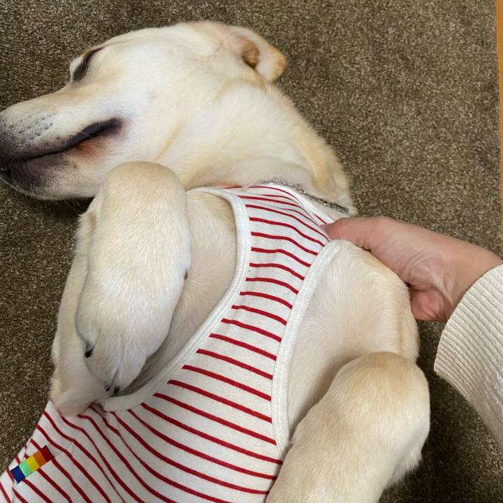 Ac7f1855 b68d 4764 83c0 520846c3170e 1619944801101