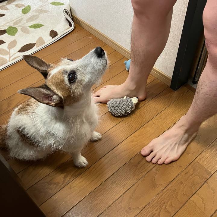 Ac7f43da 2210 4388 b010 38ca7141aa0b 1718839240413