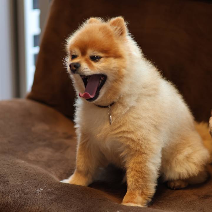 Ac7f578d d525 4f5e 9ece 045ba8bd8b06 1685013905558