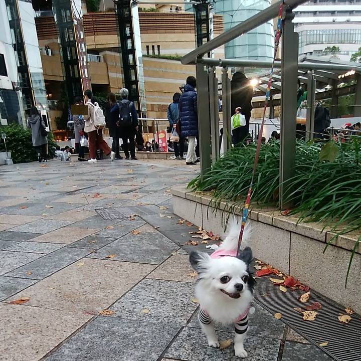 Ac7f5f3a 6e56 461e 9c9a 2b540f01f11f 1511005923326