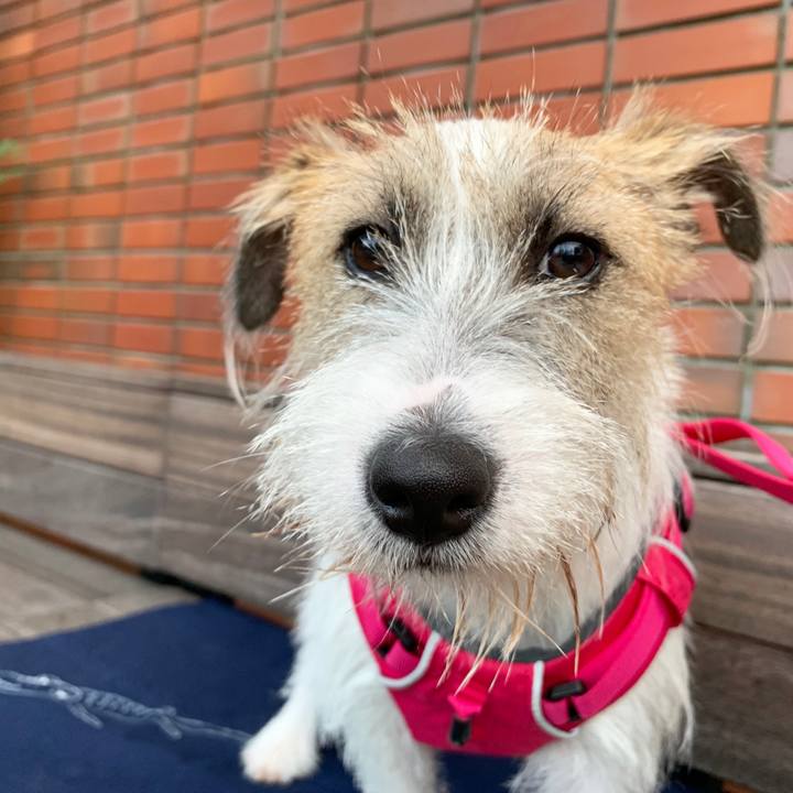 Ac7f8332 304d 423a b30d 54f13052c1a6 1570354546022