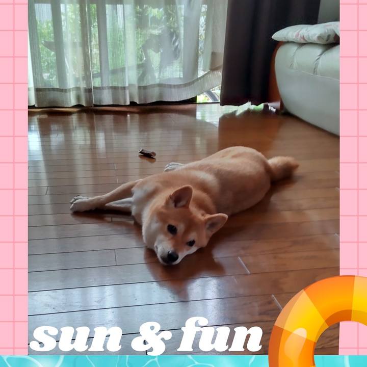 Ac7fd748 536b 4382 878d a571f4fe5361 1693701194043