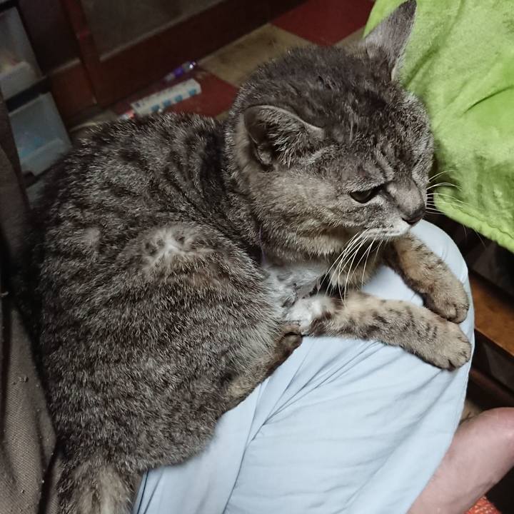 Ac7fe866 5cb4 4125 bb80 91f96d5cb107 1589399297859