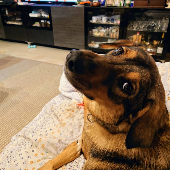 Ac7ff5c5 a125 462b a1a7 50820f0cc78f 1710760825503