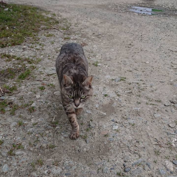 Ac80000f b7cb 4c85 820c 1564dd051e5f 1555491576873