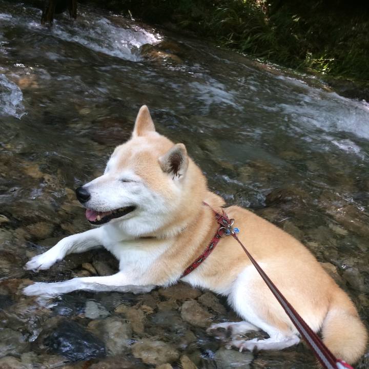 Ac8036e0 5634 4257 9e6f 563884092a5c 1604760119182