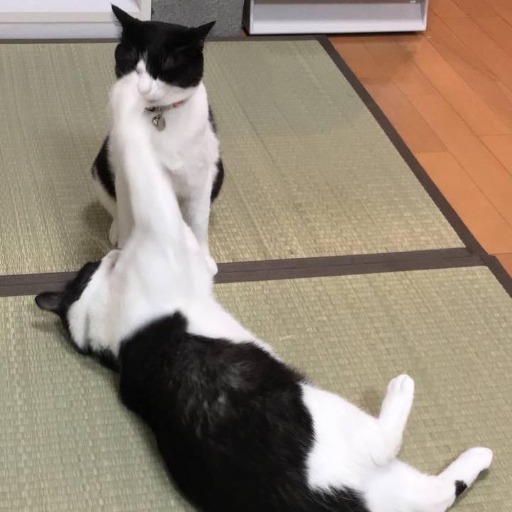 Ac804fa4 04ae 4397 bd18 e444ff503cd3 1516412266256