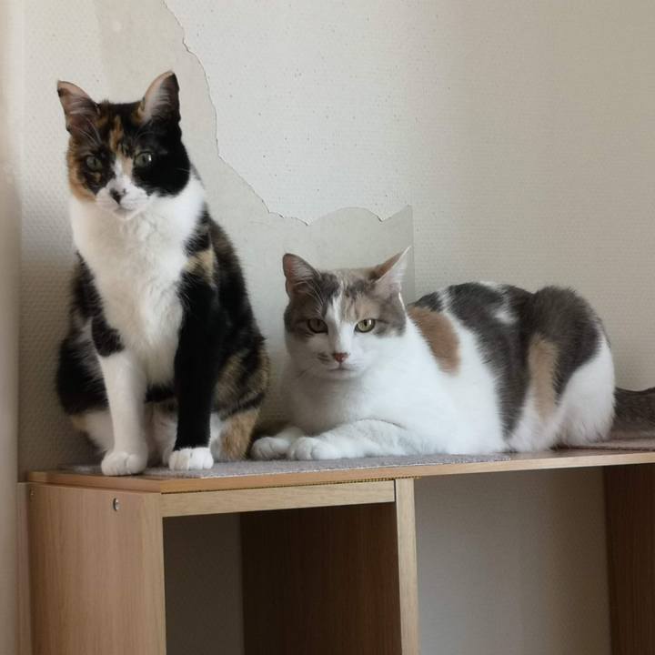 Ac80646e 1bce 4d3f 9d37 490604ed01fe 1617338643658