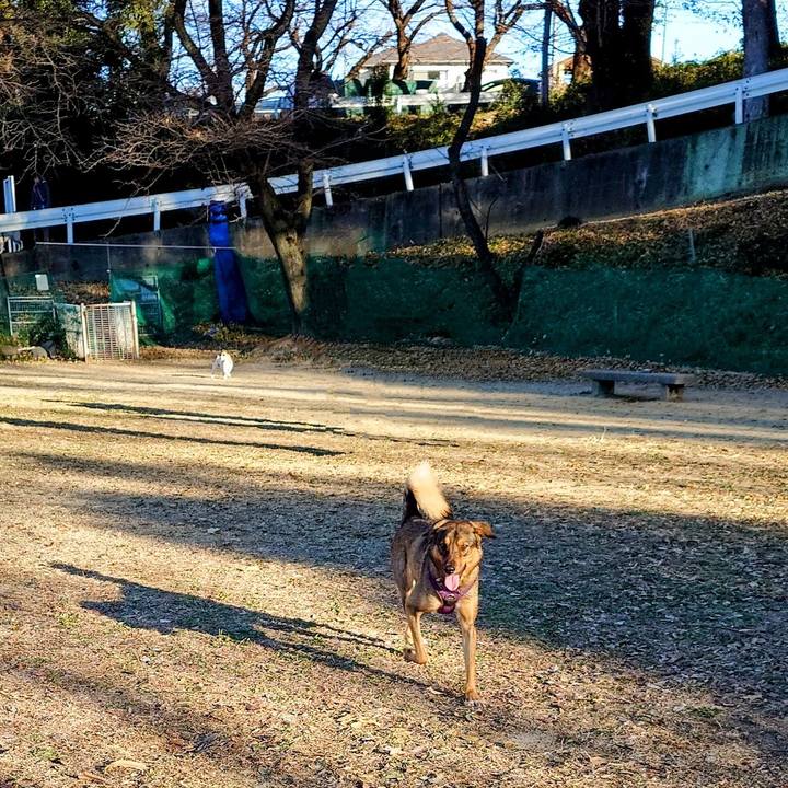 Ac811d30 abd7 47e9 b4bf 76f26d693dcf 1734257688940