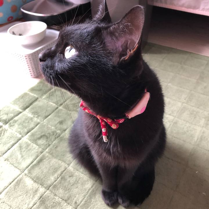 Ac8123fa d0be 4ef5 8ae3 22f14834d2ca 1623797583032