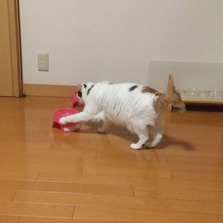 Ac81486e 862f 424d af1f d01c27eefb1a 1602837942085