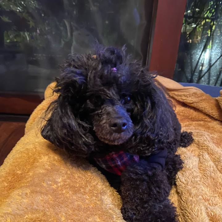 Ac81889a 4b47 49cb 8d40 289a6d341d88 1635723998819