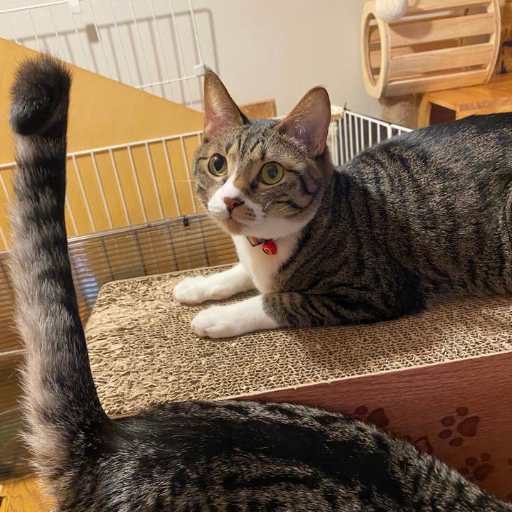 Ac81a7fe c579 4bff b496 476baf090439 1707028975443