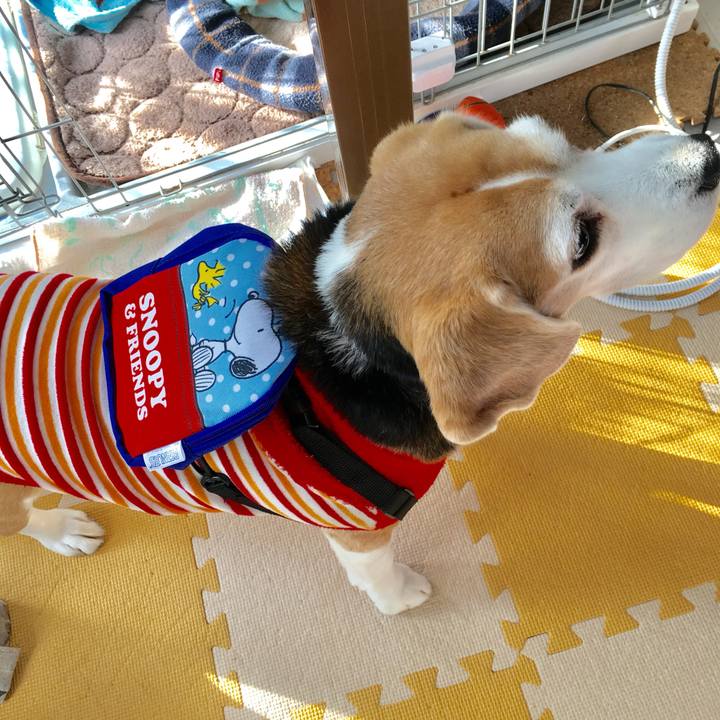 Ac81c7d0 3422 4406 bbd0 8d48d66105ab 1738897965671