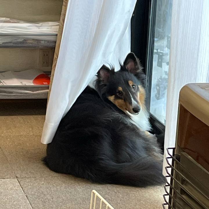 Ac81cae6 a3ff 4f43 811a d9fad4a0b869 1609972766255