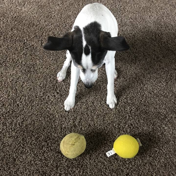 Ac81eab2 5662 47aa ae7f 79f1c571e866 1565655551758