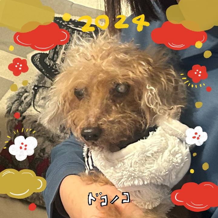 Ac81f204 9685 4d80 b4c5 3763b362e5e3 1704293905652