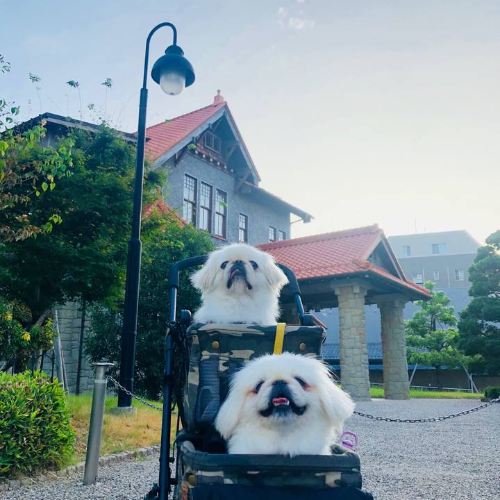 Ac824a46 3811 4d4a b875 3ff02ddbe6fc 1598743344737