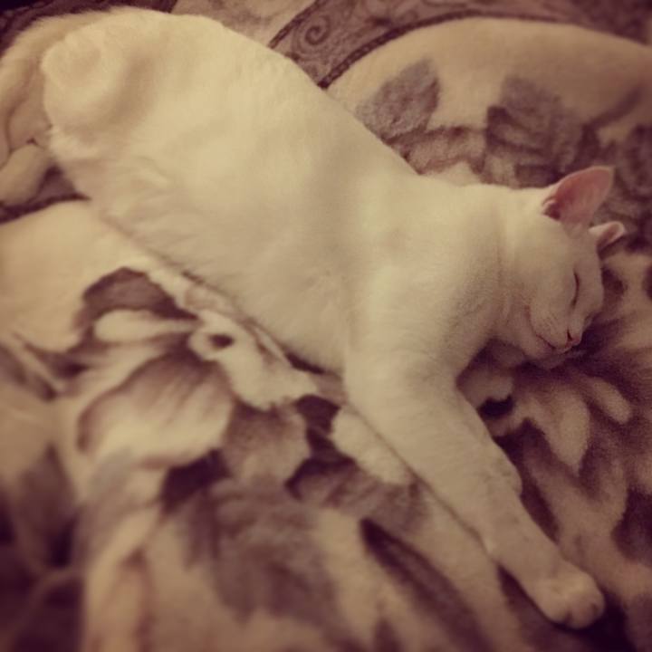 Ac826e27 b113 454e a890 7e7febd0148b 1510586847518