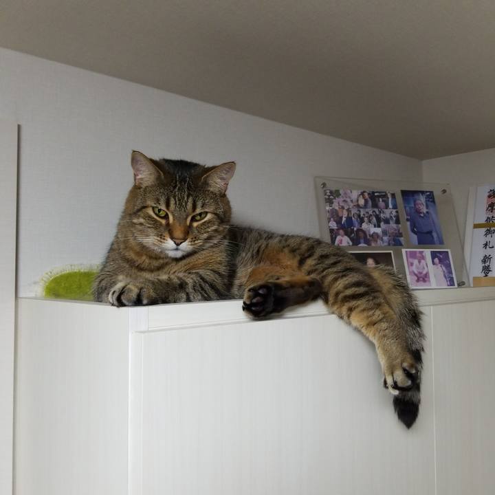 Ac827b04 4144 454a 93a4 ddcc6a7862a2 1558175091701