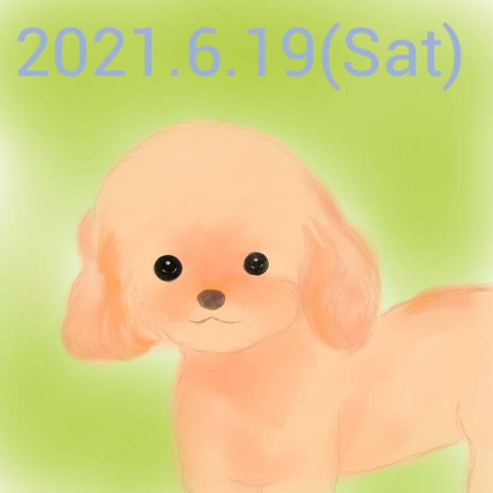 Ac82b5c1 79f6 475c bd14 96ae6d8ec247 1624091118181
