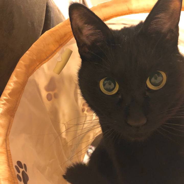 Ac82c71b d0e8 498e bf85 b57e833962c9 1551962347277