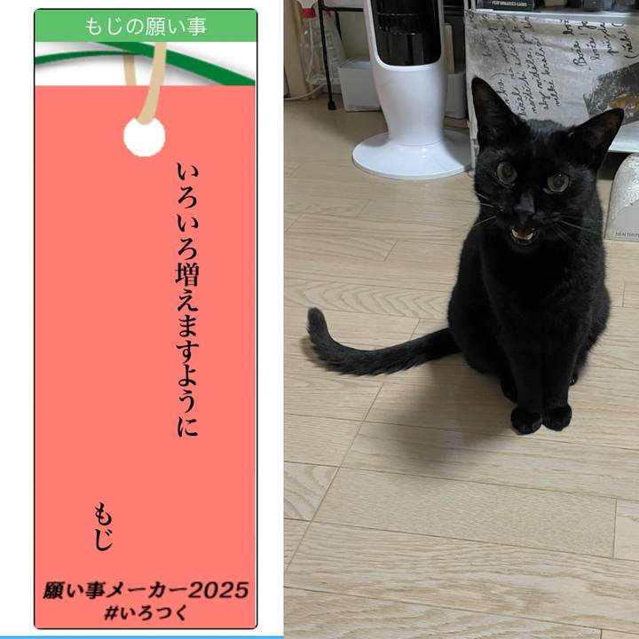 Ac82f906 da8e 4ba4 8337 c5772f268467 1751897386211