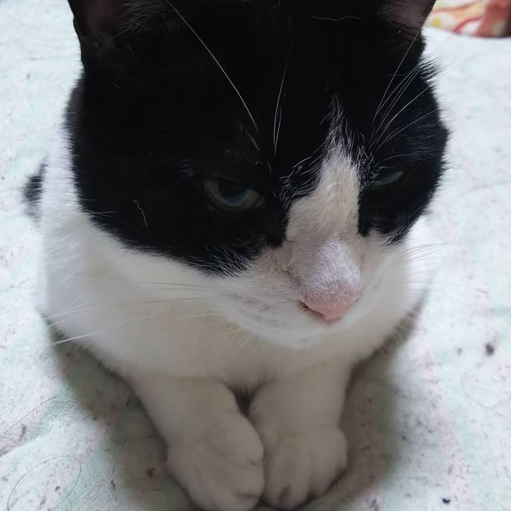 Ac8303fd c805 417e b3c9 18bda0a1b959 1562190983589