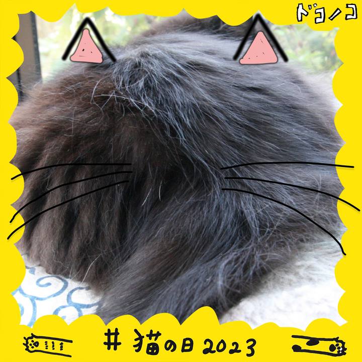 Ac8309b2 89f6 45b6 a520 34e566f2d345 1677032132934