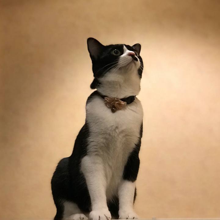 Ac835c96 7871 461b 8499 46648e2be870 1535285463138