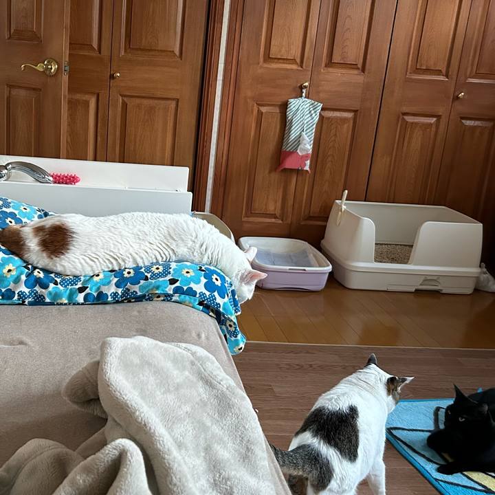 Ac8384e5 8ea9 4c4f b9ec 18e12a5e06bb 1680470417485