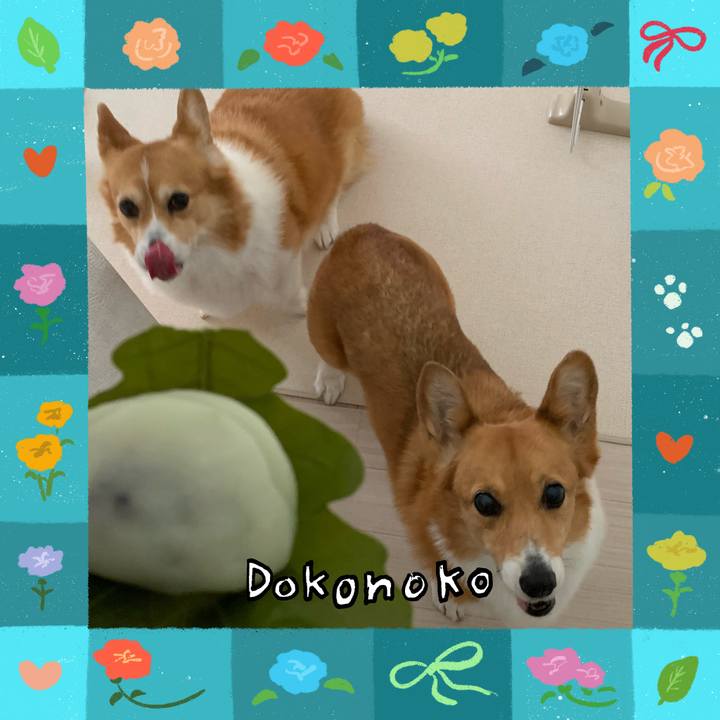 Ac83abab d643 4ef4 89be 24166e15c405 1714897364378